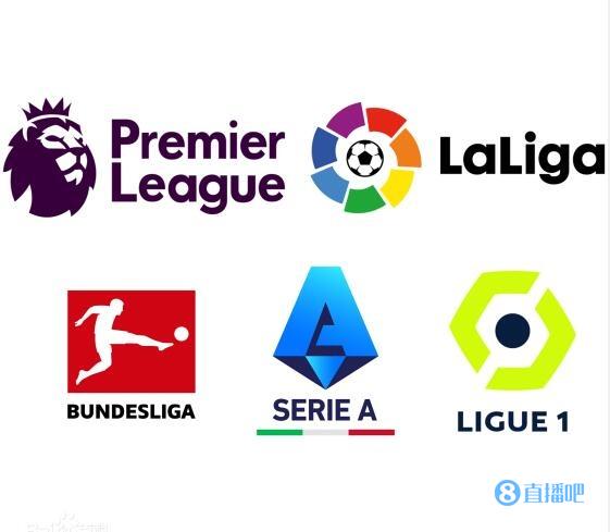 一些专家指 一些专家指